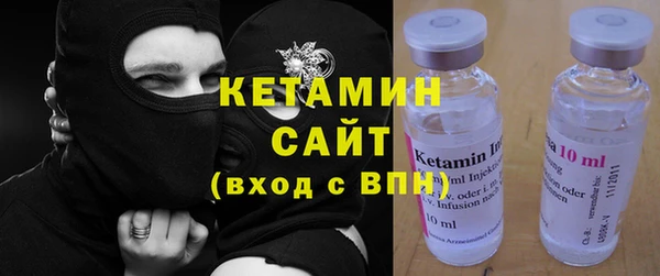 прущие грибы Корсаков